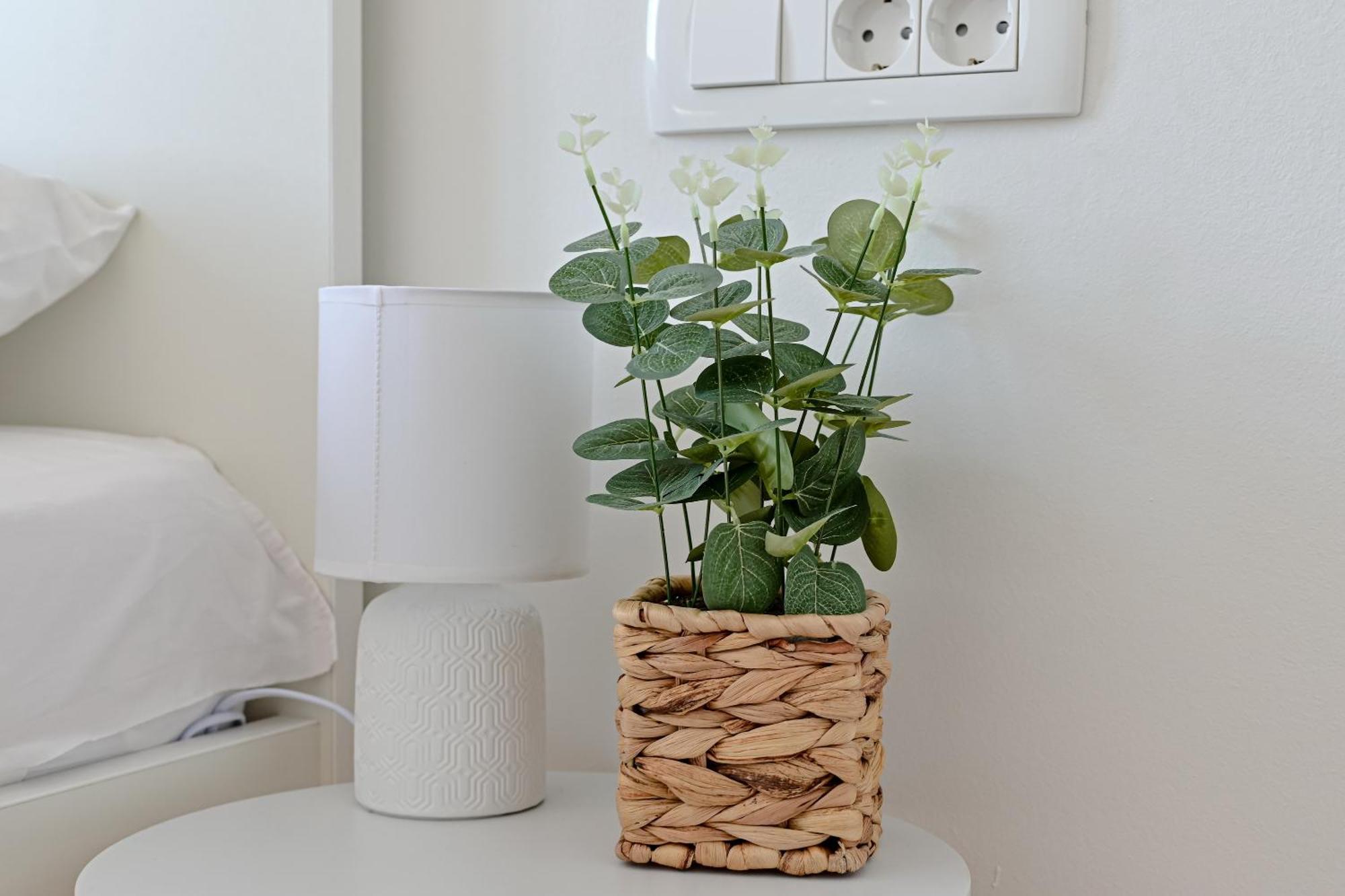Apartment Iva
